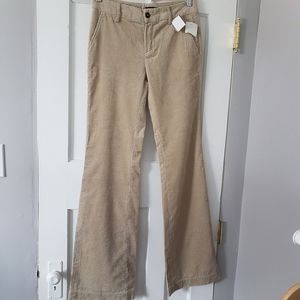 Massimo Dutti Straight Wide Leg Flared Corduroy Pants Cream Sz 2 NWT